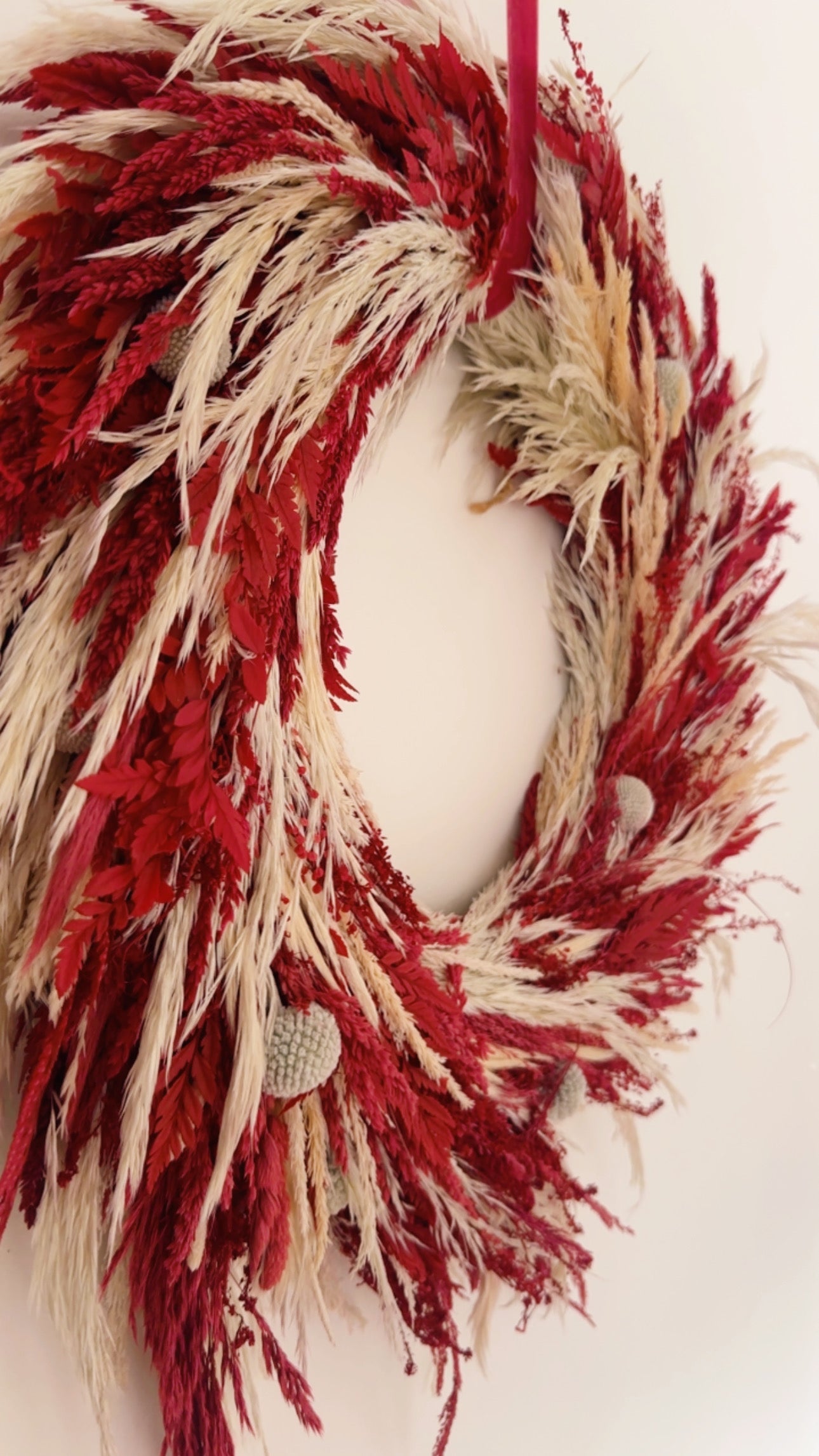 Corona Preservada Red Noél