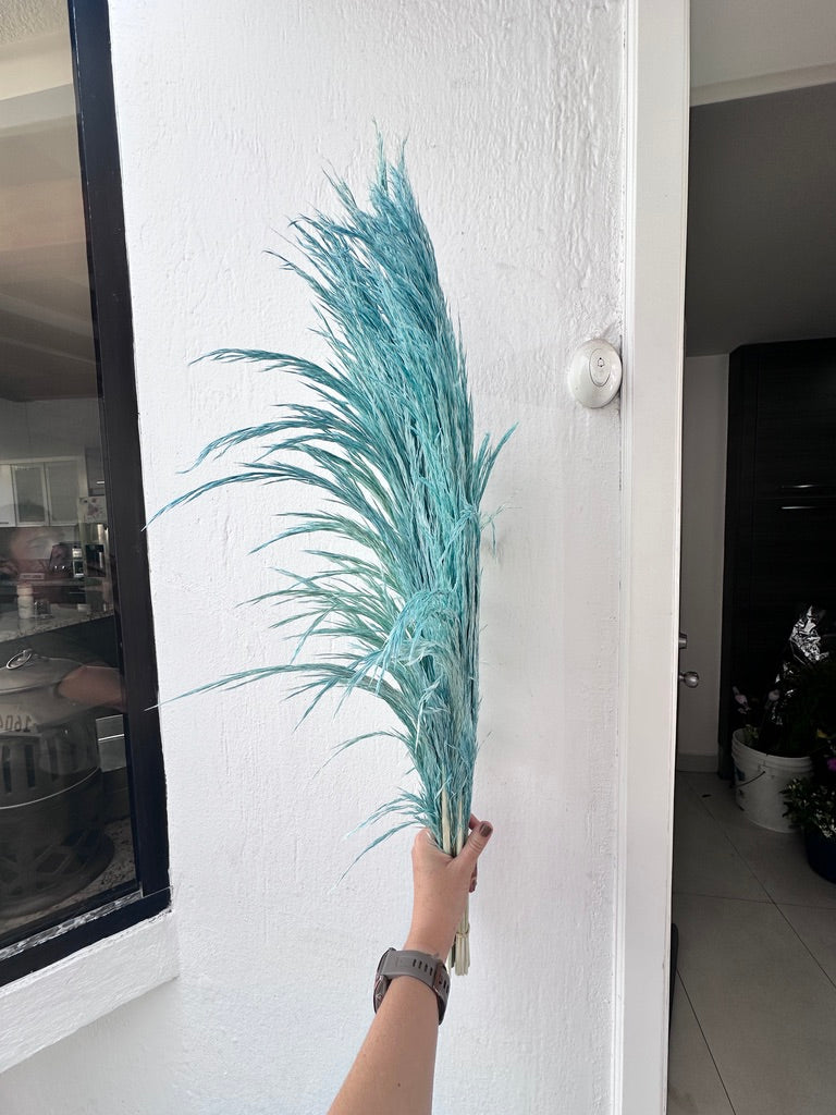 Pampas Preservadas
