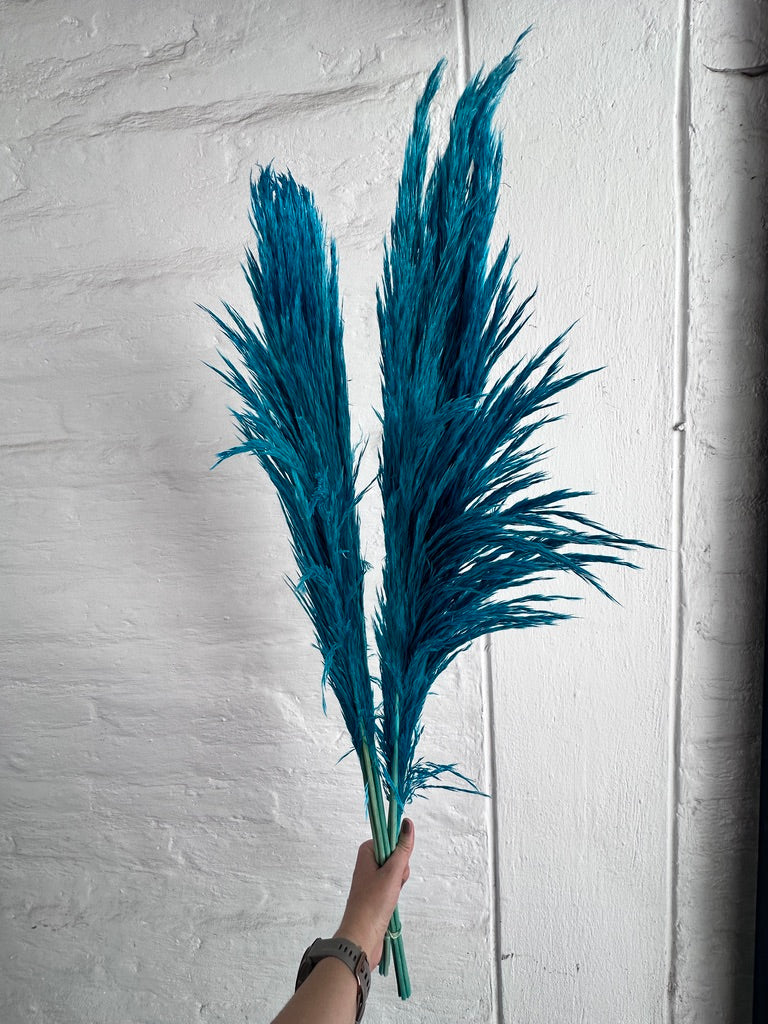 Pampas Preservadas