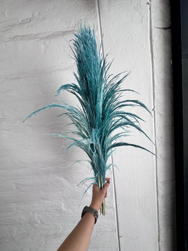 Pampas Preservadas