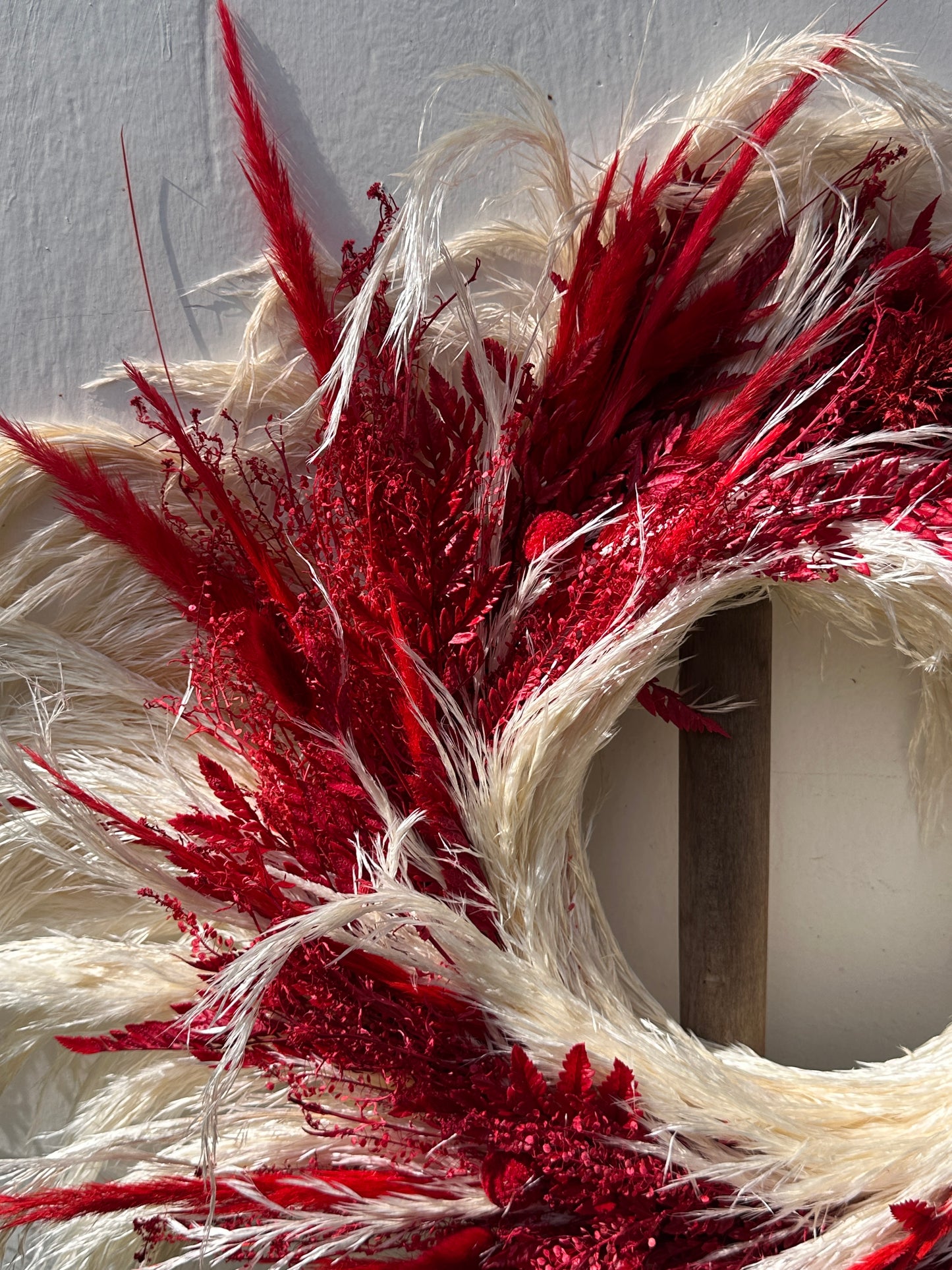 Corona Preservada Midnight Vino