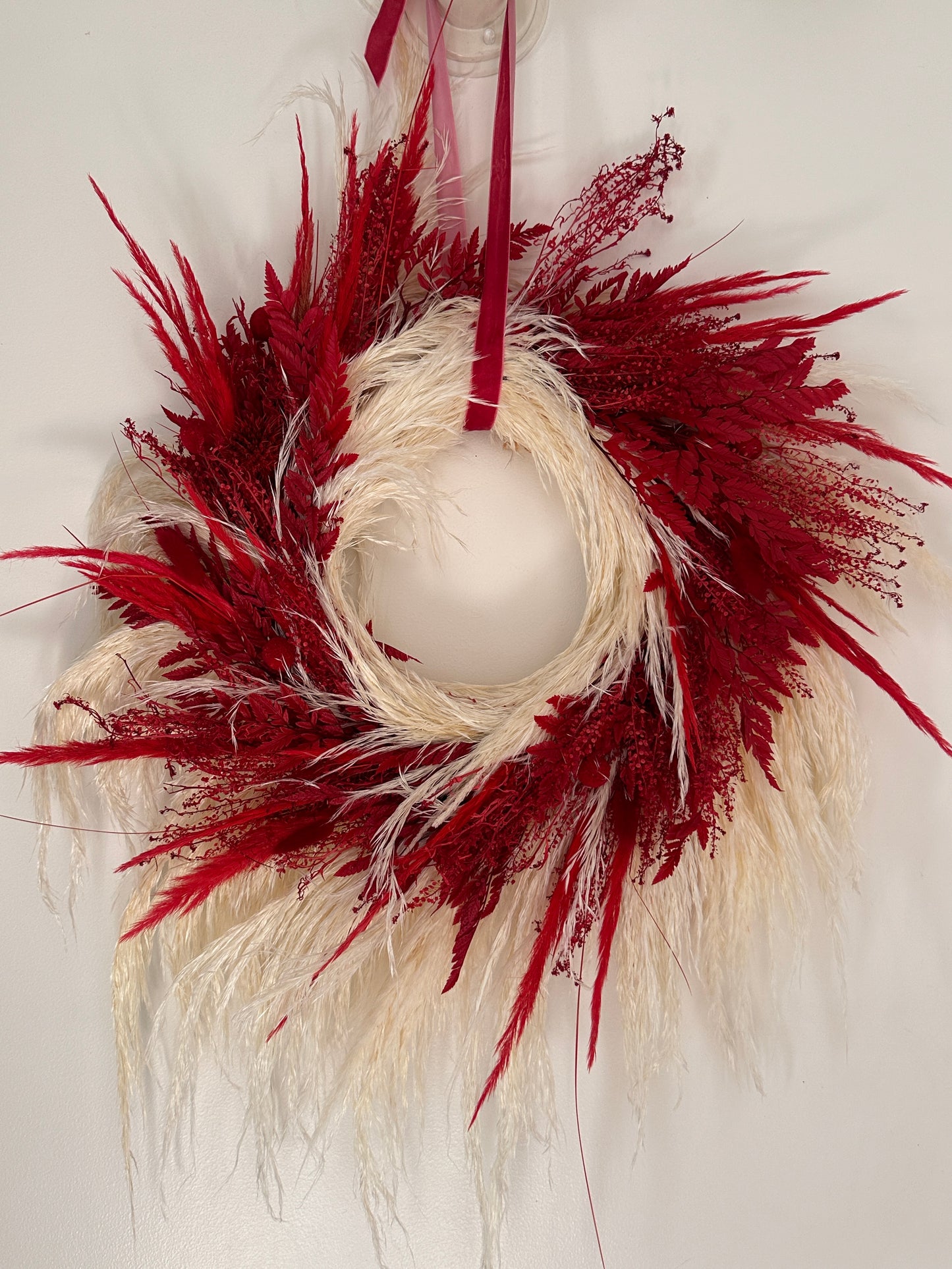 Corona Preservada Midnight Vino